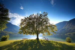 Slovenia - The lake of Bohinj